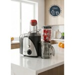Sinbo SJ-3195 Katı Meyve Sıkacağı Blender Seti