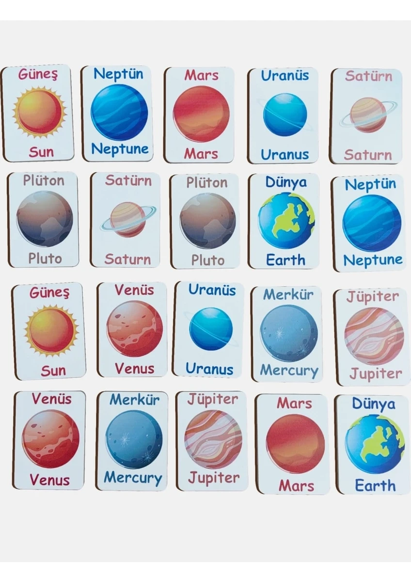 Prestij Dünyası Eğitici Oyuncak